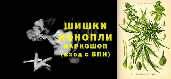 прущие грибы Валдай
