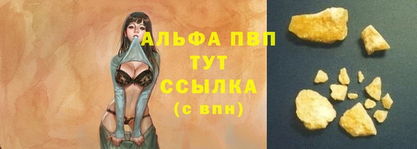 трава Осинники