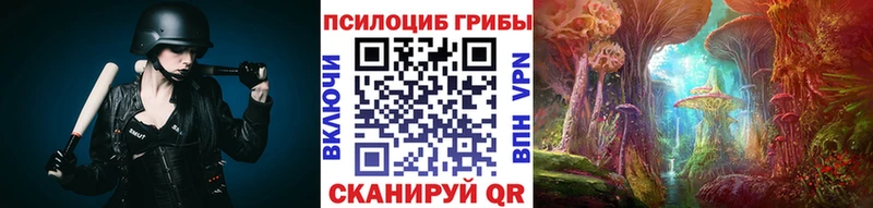 Галлюциногенные грибы Psilocybine cubensis  Балтийск 