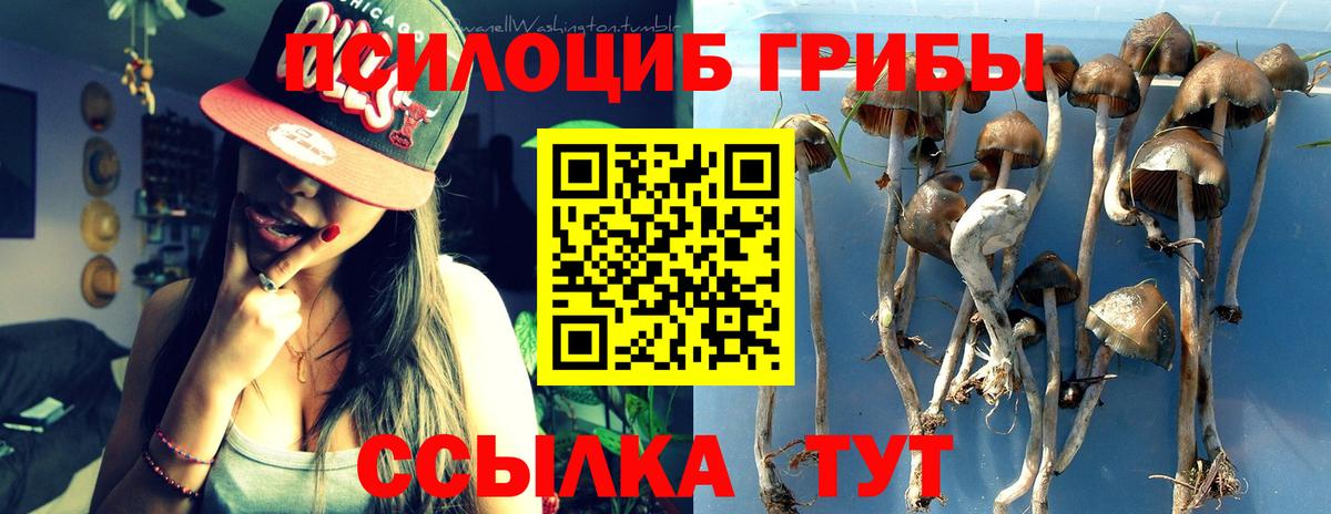 Галлюциногенные грибы мицелий Балтийск