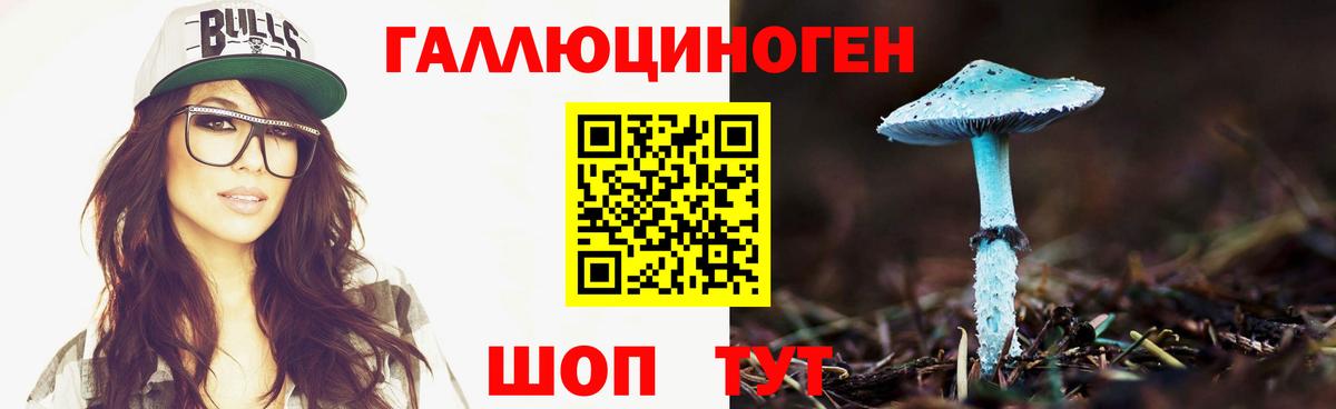 Галлюциногенные грибы Psilocybe  Вход с VPN  Балтийск 